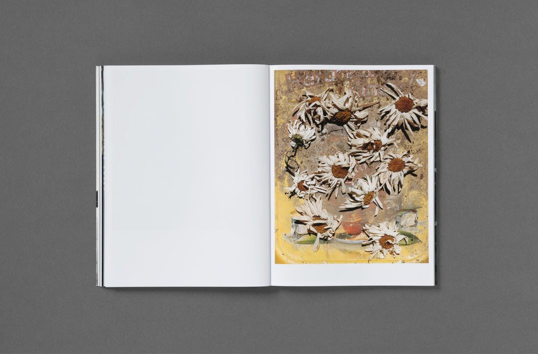 Abdulhamid Kircher – Rotting from Within, book published by Loose Joints.