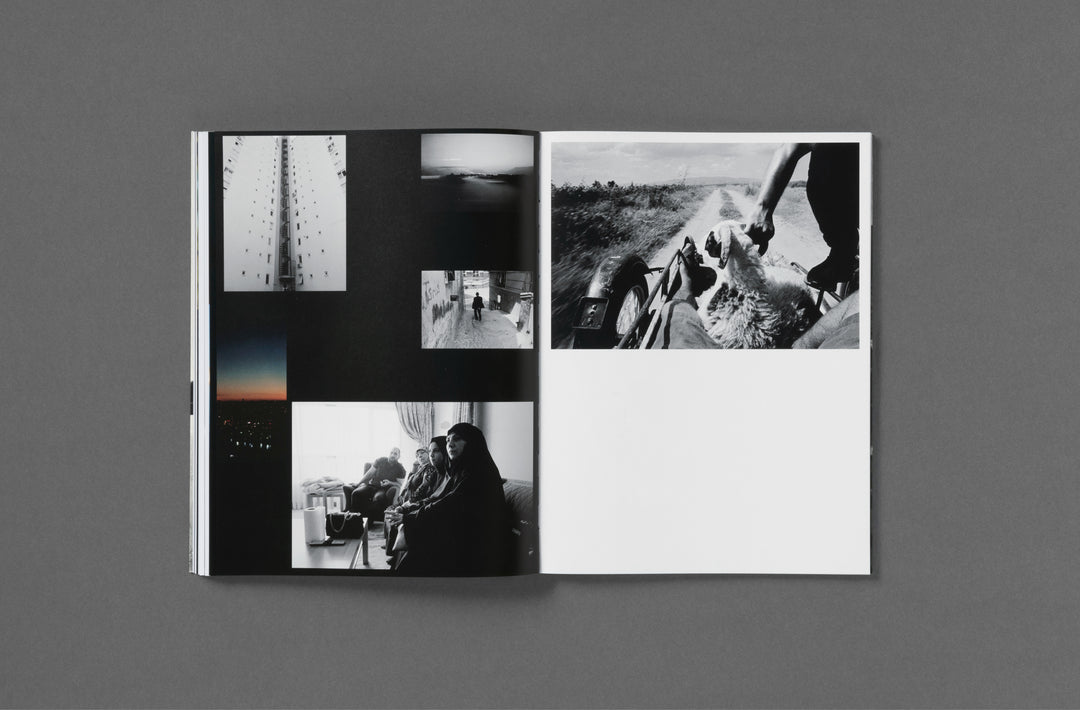 Abdulhamid Kircher – Rotting from Within, book published by Loose Joints.