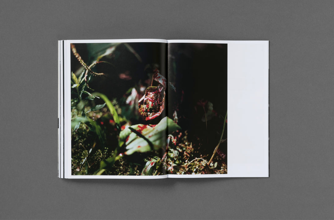Abdulhamid Kircher – Rotting from Within, book published by Loose Joints.