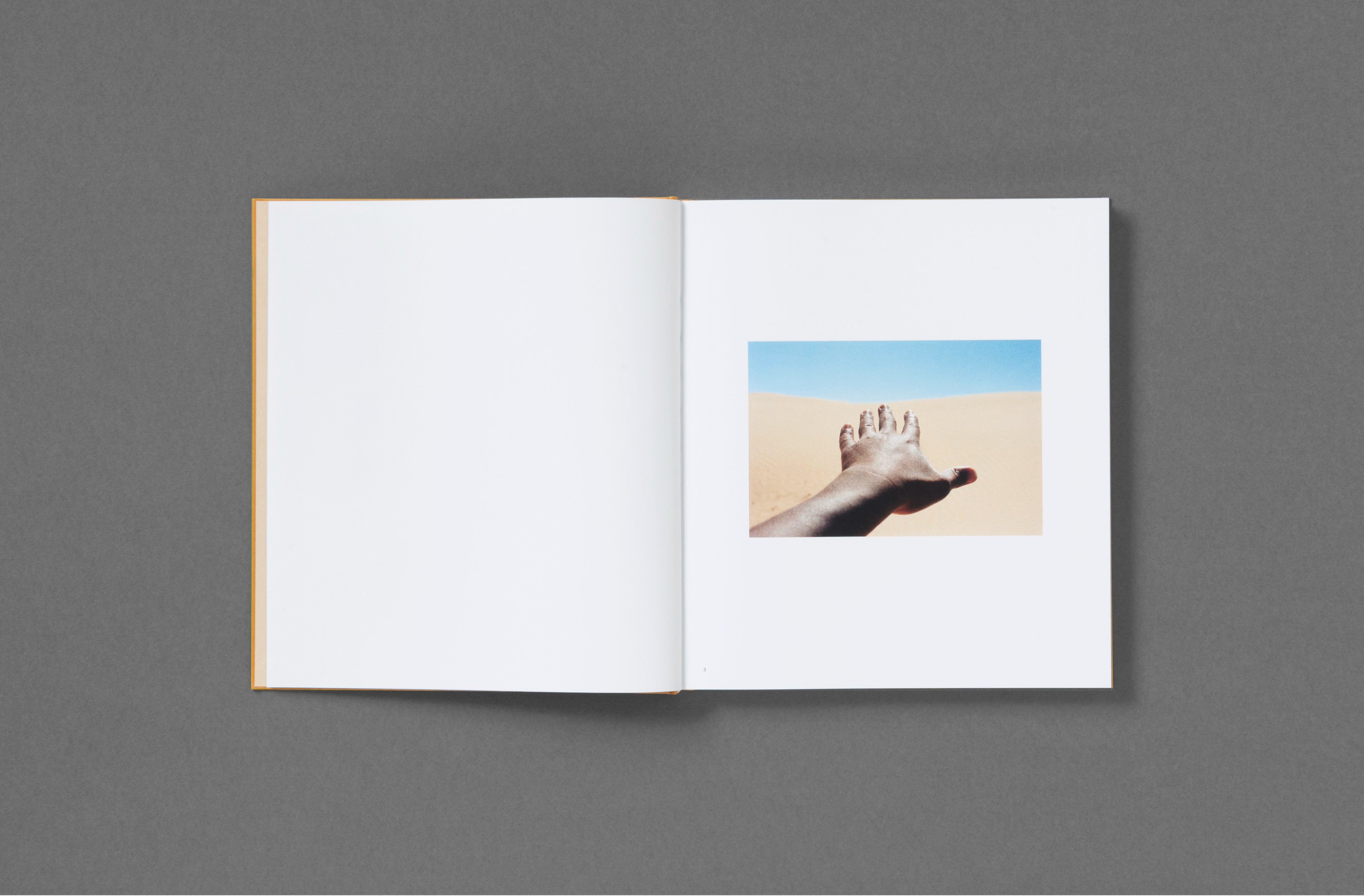 Henry_Roy_Impossible_Island_Bo