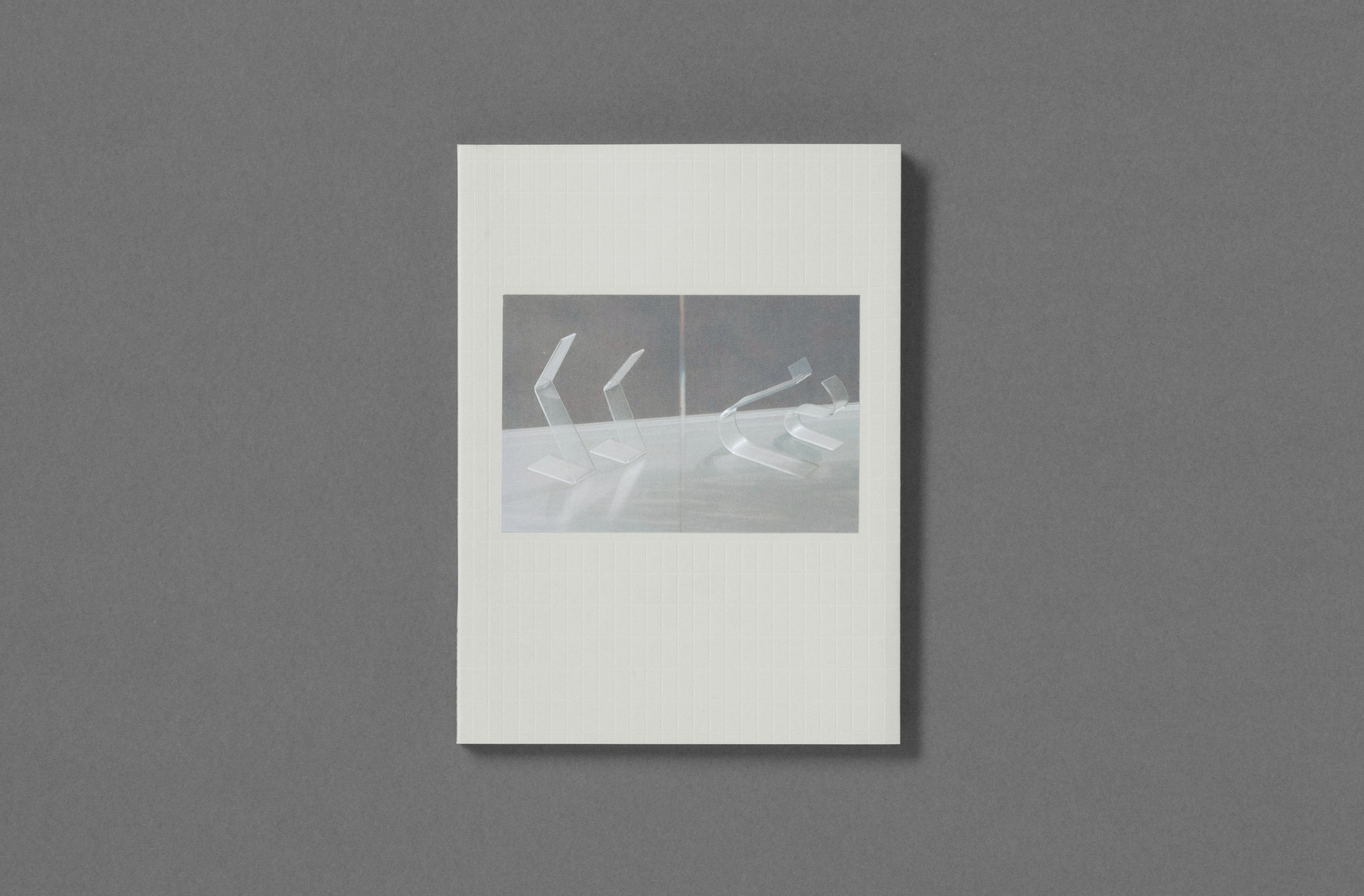Hudson Hayden – Notwithstanding – Loose Joints Publishing