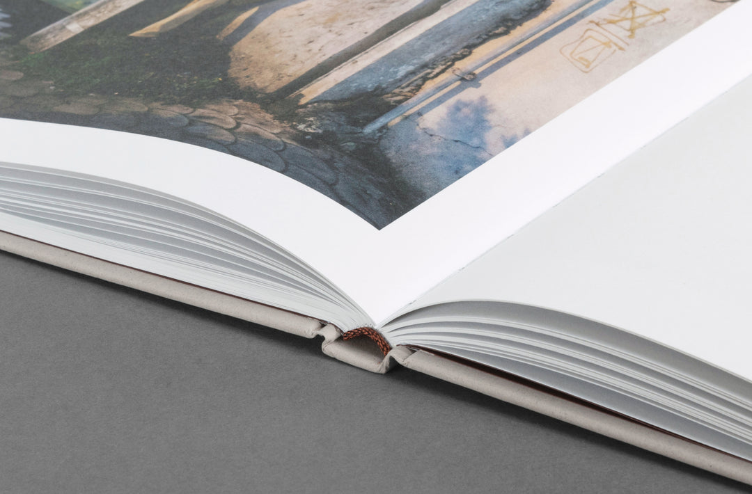 Khashayar Javanmardi – Caspian: A Southern Reflection, edited by Sarah Chaplin Espenon, monograph published by Loose Joints.