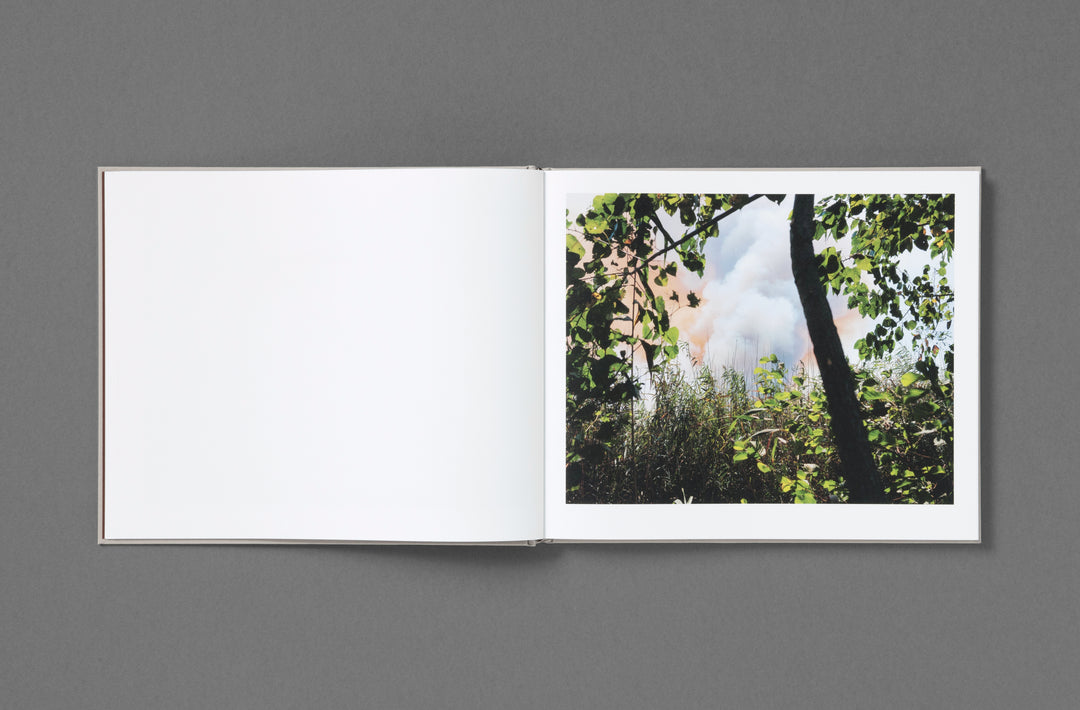 Khashayar Javanmardi – Caspian: A Southern Reflection, edited by Sarah Chaplin Espenon, monograph published by Loose Joints.