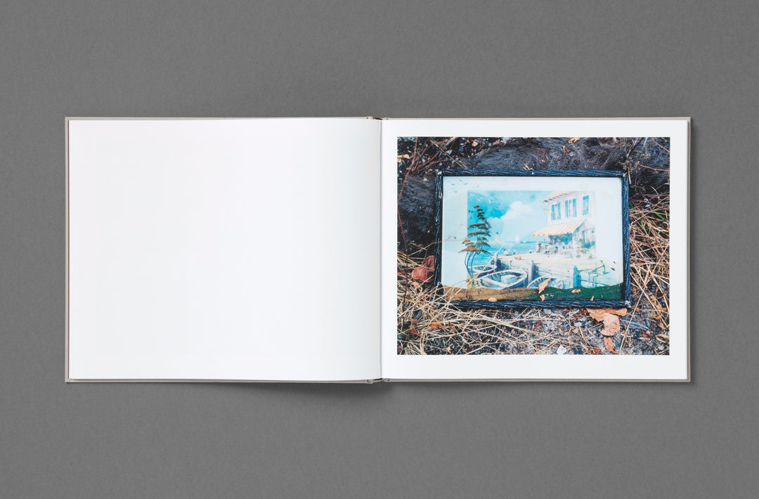 Khashayar Javanmardi – Caspian: A Southern Reflection, edited by Sarah Chaplin Espenon, monograph published by Loose Joints.