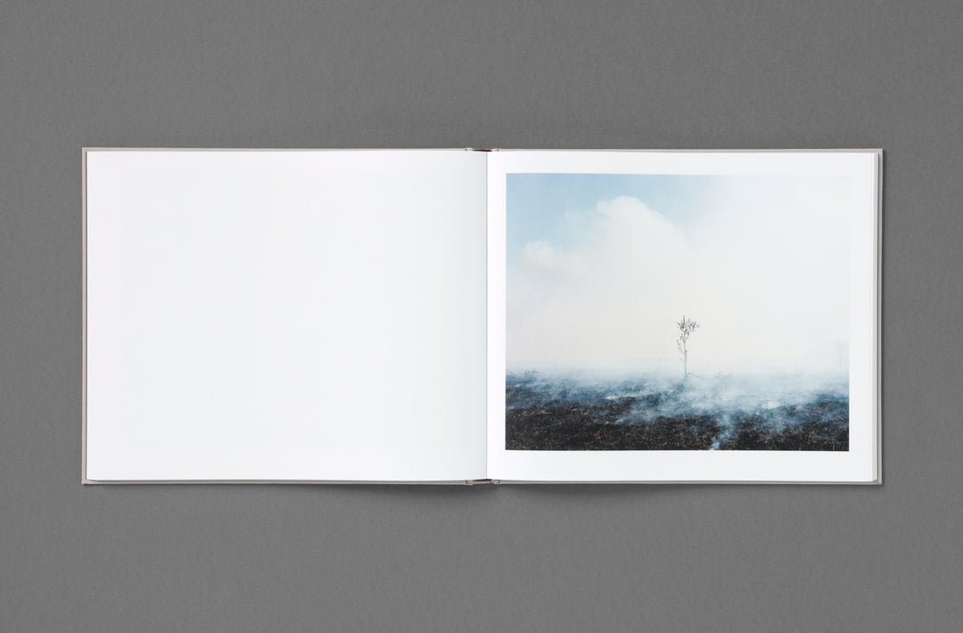 Khashayar Javanmardi – Caspian: A Southern Reflection, edited by Sarah Chaplin Espenon, monograph published by Loose Joints.