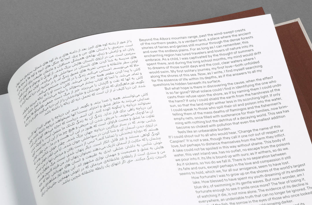 Khashayar Javanmardi – Caspian: A Southern Reflection, edited by Sarah Chaplin Espenon, monograph published by Loose Joints.
