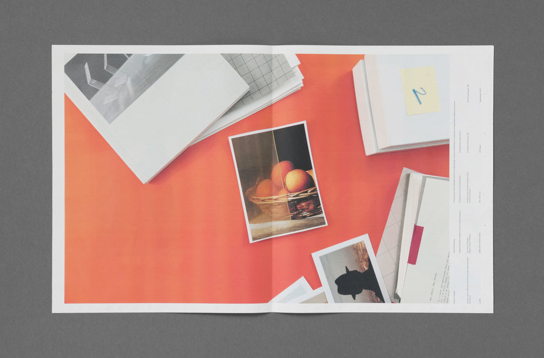 Loose Joints 2014–2024: Ten Years of Publishing Contemporary Photographic Discourse, Hudson Hayden