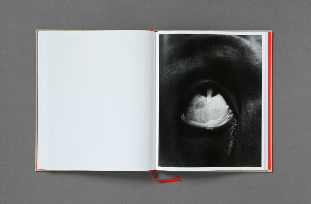 Luis Alberto Rodriguez – O. Monograph published by Loose Joints