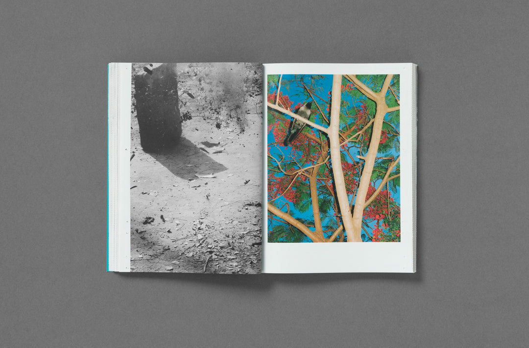 Neither Magazine Vol. 1