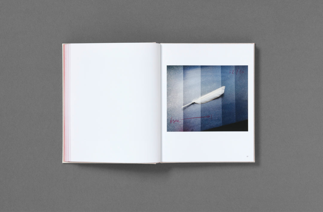 Oliver Chanarin – A Perfect Sentence book published by Loose Joints.