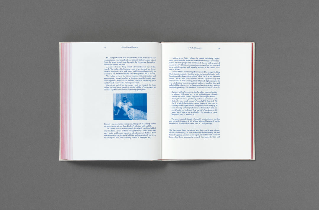 Oliver Chanarin – A Perfect Sentence book published by Loose Joints.