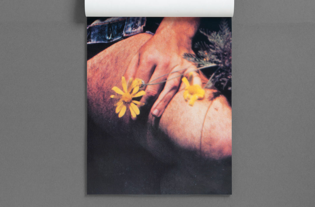 Pacifico Silano – Shadow Cast artist book published by Loose Joints. Handmade Edition for sale
