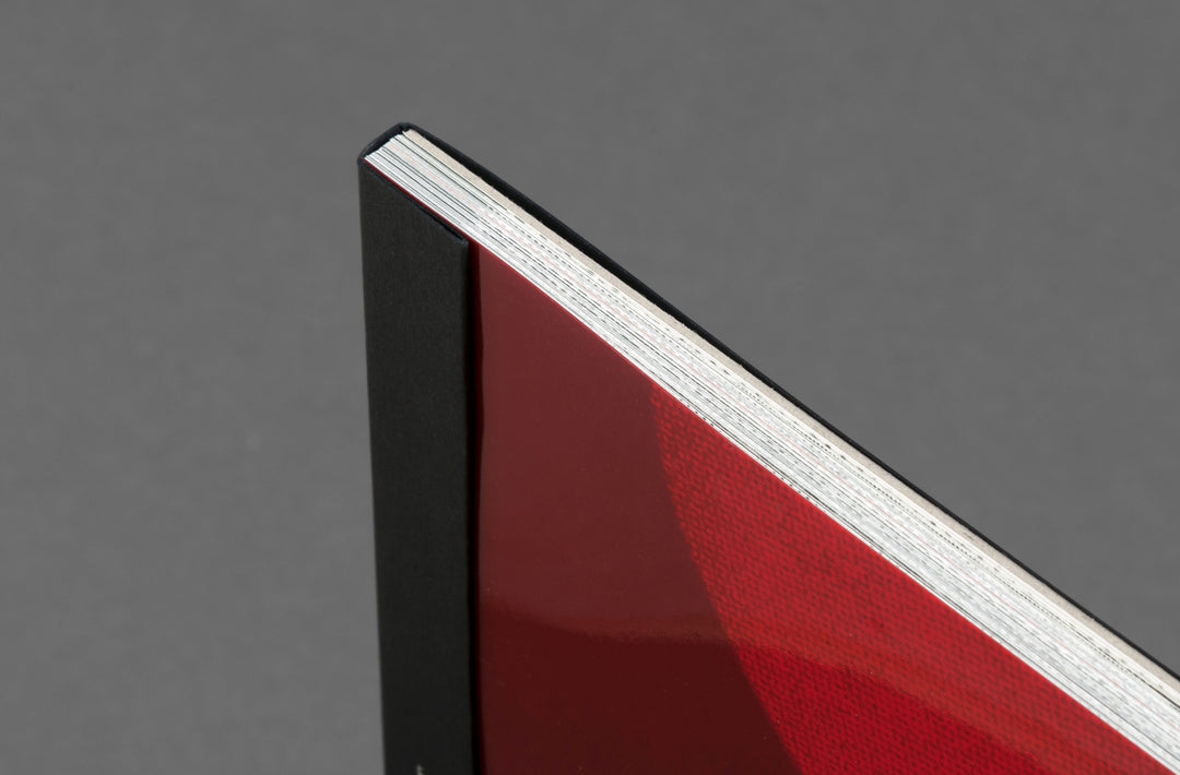 Pacifico Silano – Shadow Cast artist book published by Loose Joints. Handmade Edition for sale