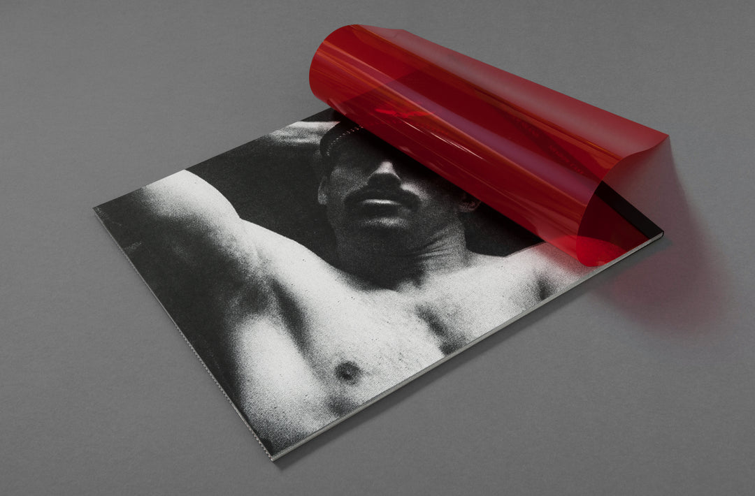 Pacifico Silano – Shadow Cast artist book published by Loose Joints edited by Sarah Espenon. Edition for sale