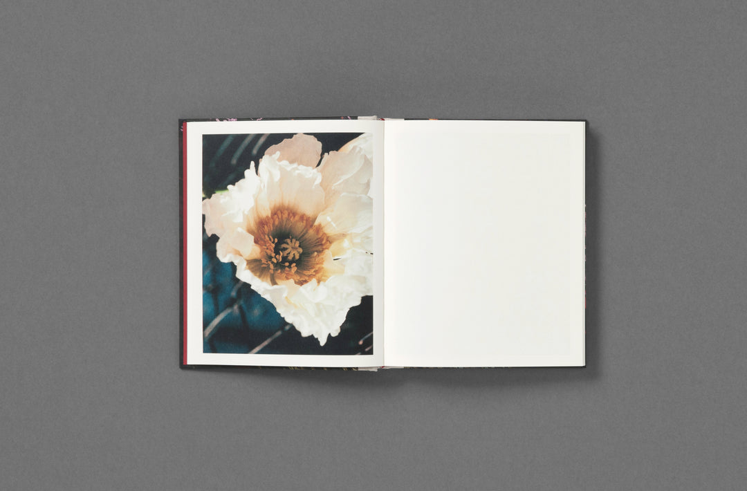 Pia Riverola – Días, published by Loose Joints