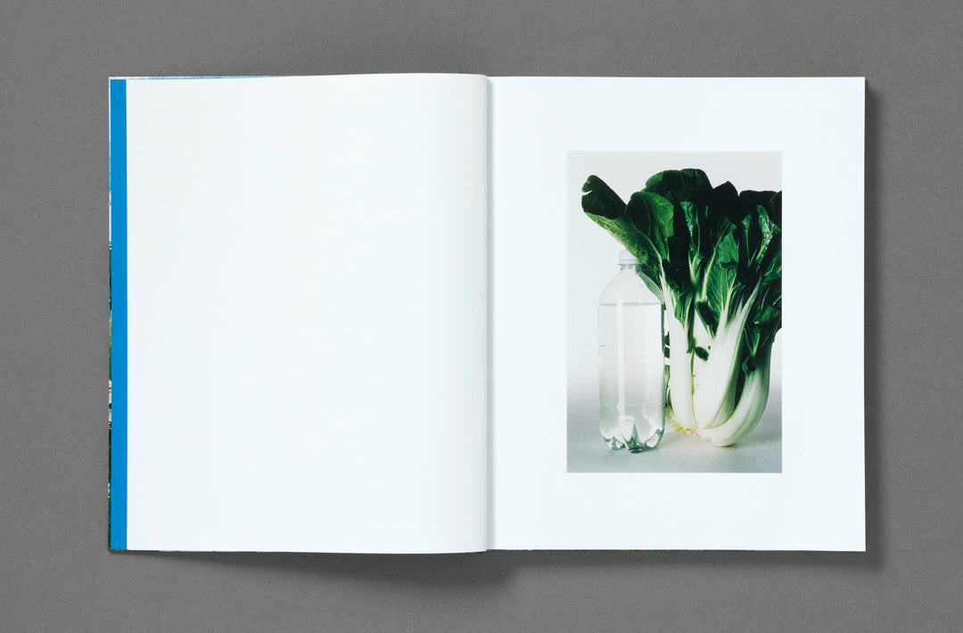 Bobby Doherty – Dream About Nothing, book published by Loose Joints. ISBN9781912719501