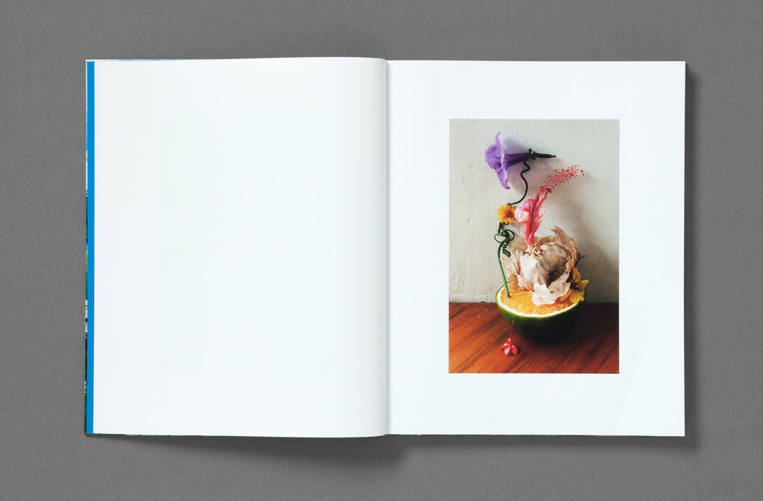 Bobby Doherty – Dream About Nothing, book published by Loose Joints. ISBN9781912719501