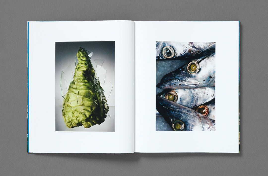 Bobby Doherty – Dream About Nothing, book published by Loose Joints. ISBN9781912719501