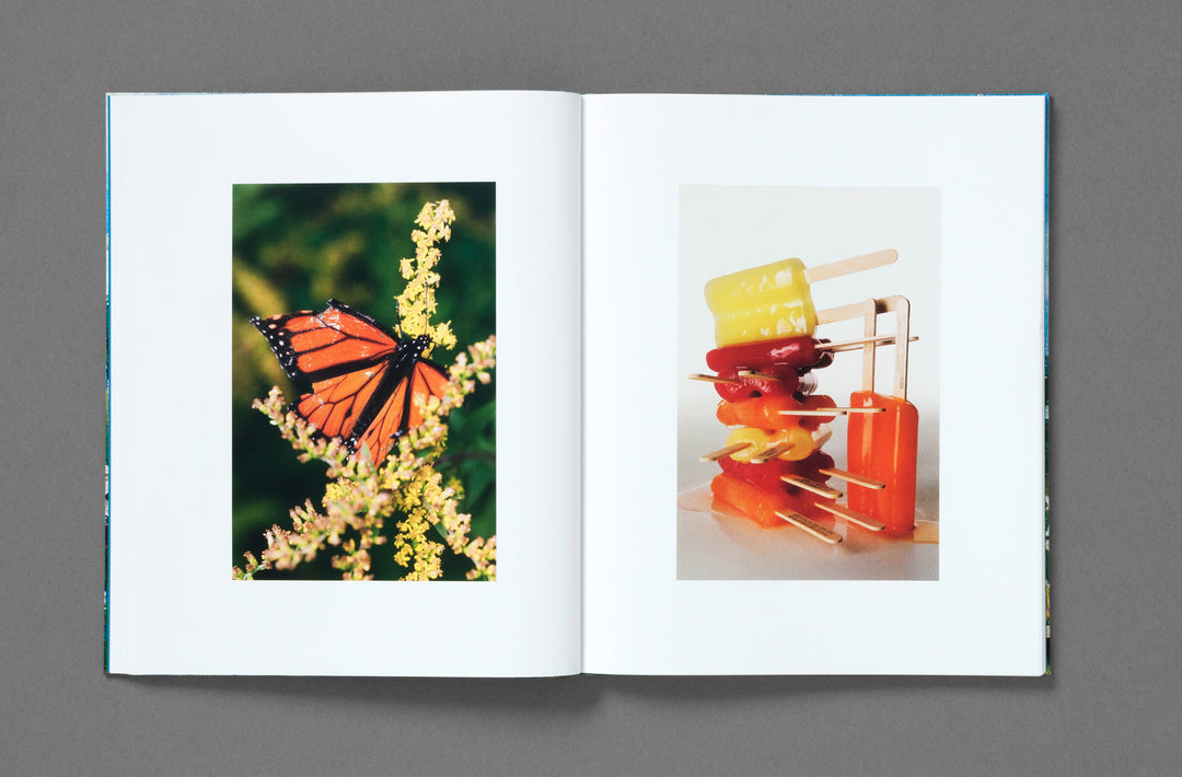 Bobby Doherty – Dream About Nothing, book published by Loose Joints. ISBN 9781912719501