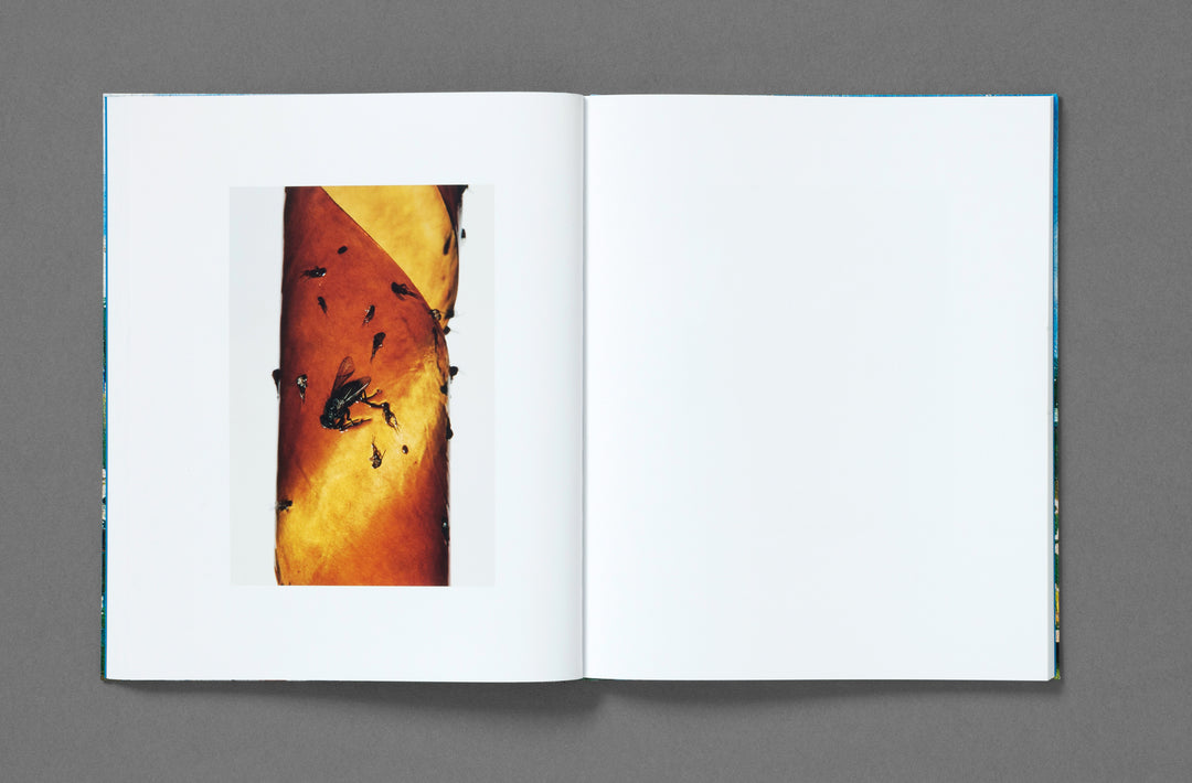 Bobby Doherty – Dream About Nothing, book published by Loose Joints. ISBN 9781912719501