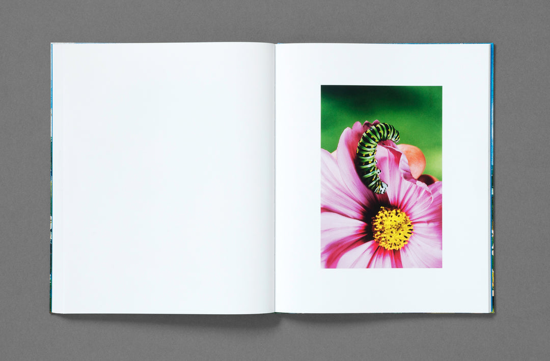 Bobby Doherty – Dream About Nothing, book published by Loose Joints. ISBN9781912719501