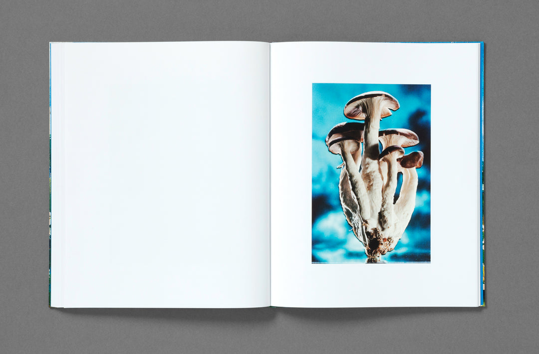 Bobby Doherty – Dream About Nothing, book published by Loose Joints. ISBN9781912719501