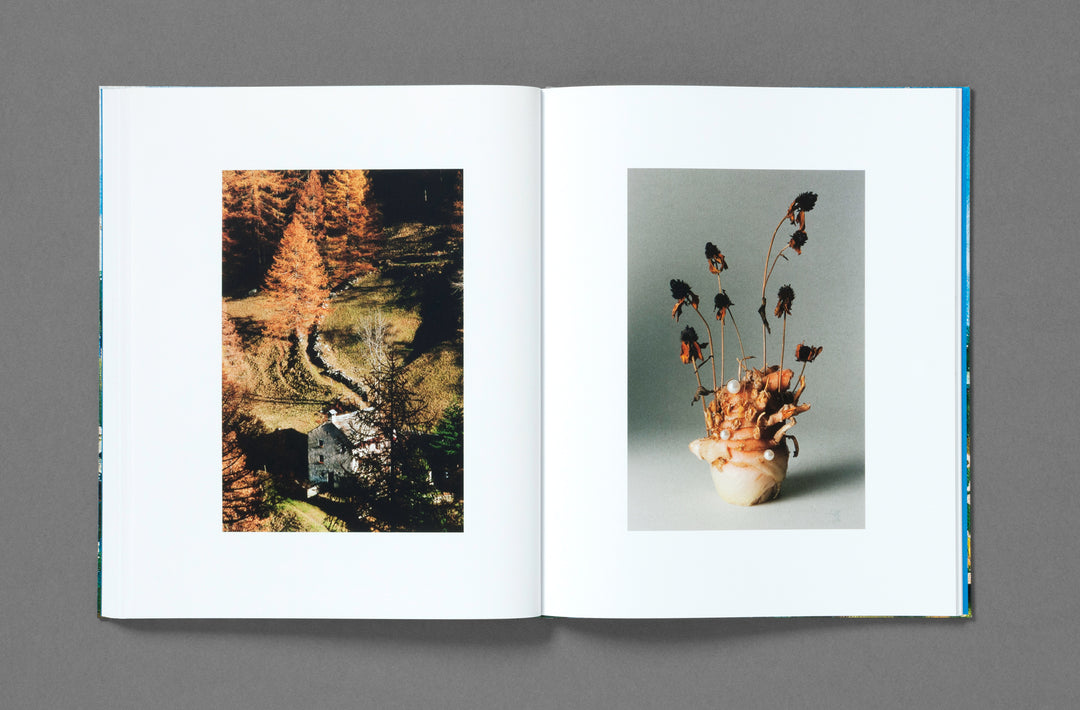 Bobby Doherty – Dream About Nothing, book published by Loose Joints. ISBN9781912719501