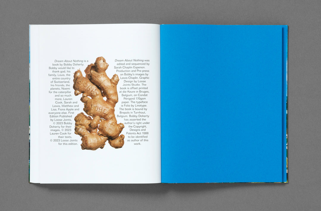 Bobby Doherty – Dream About Nothing, book published by Loose Joints. ISBN9781912719501