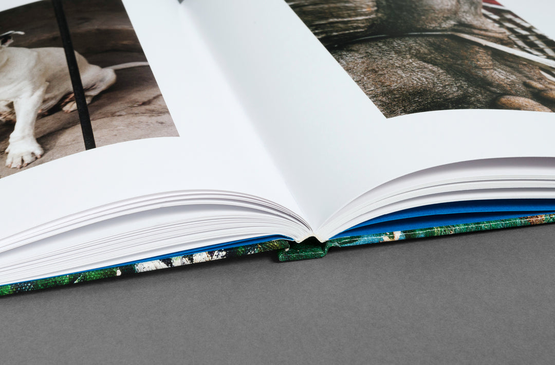 Bobby Doherty – Dream About Nothing, book published by Loose Joints. ISBN 9781912719501
