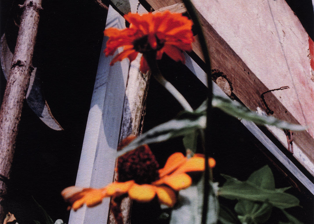 Song Flowers Print Edition