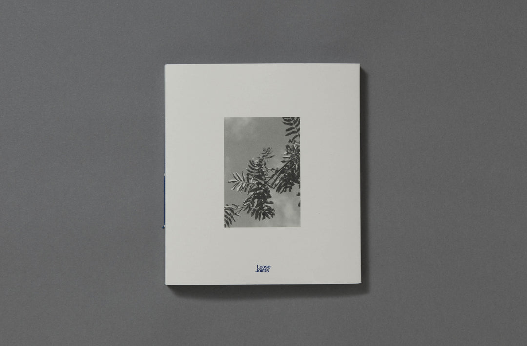 Felicia Honkasalo - Grey Cobalt - Loose Joints Publishing