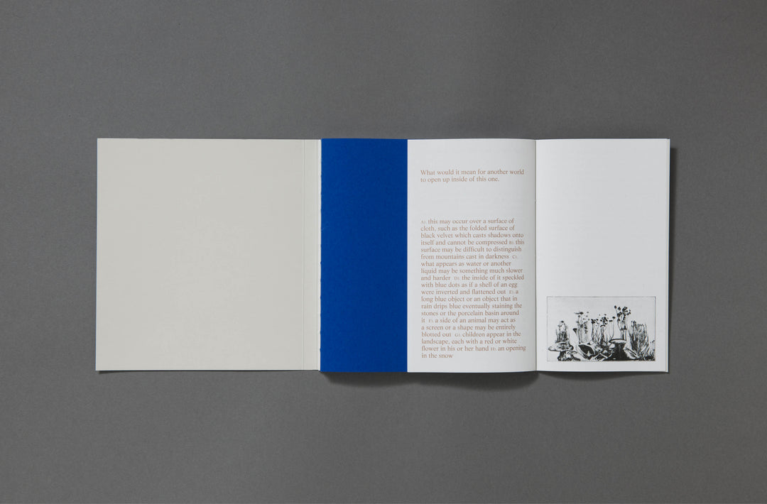 Felicia Honkasalo - Grey Cobalt - Loose Joints Publishing