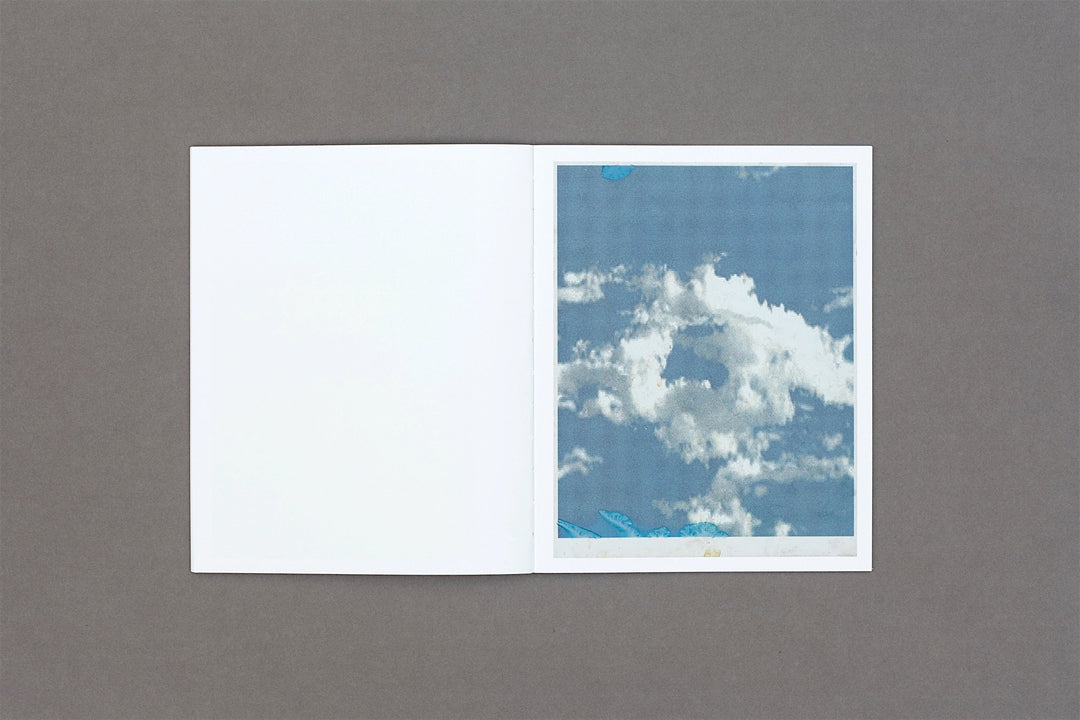 Sean Vegezzi - Snow Cab - Loose Joints Publishing