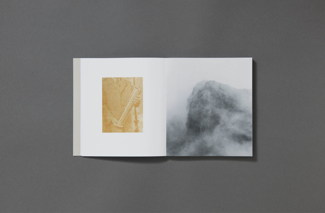 Felicia Honkasalo - Grey Cobalt - Loose Joints Publishing