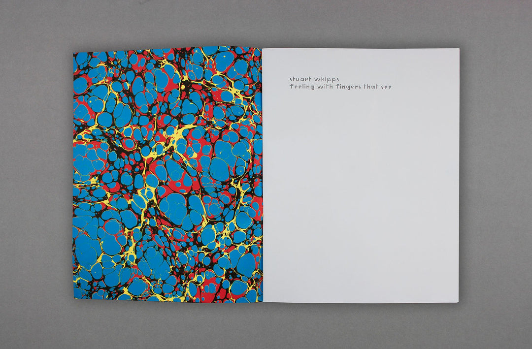Stuart Whipps - Feeling with fingers that see - Loose Joints Publishing
