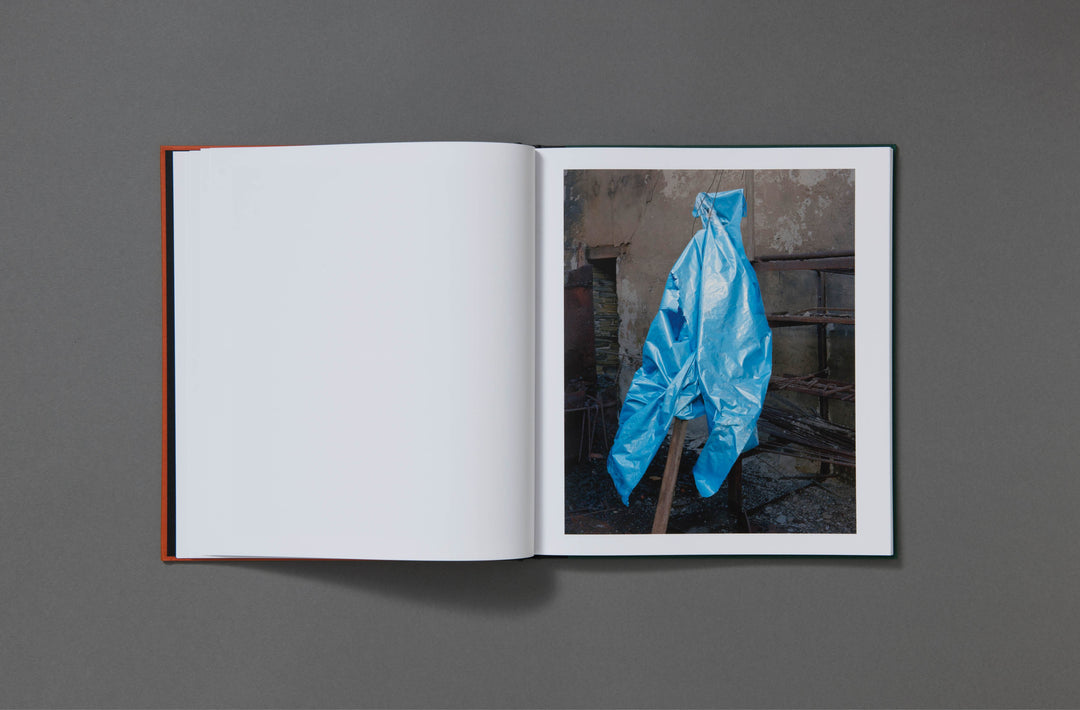 Robin Friend - Bastard Countryside - Loose Joints Publishing