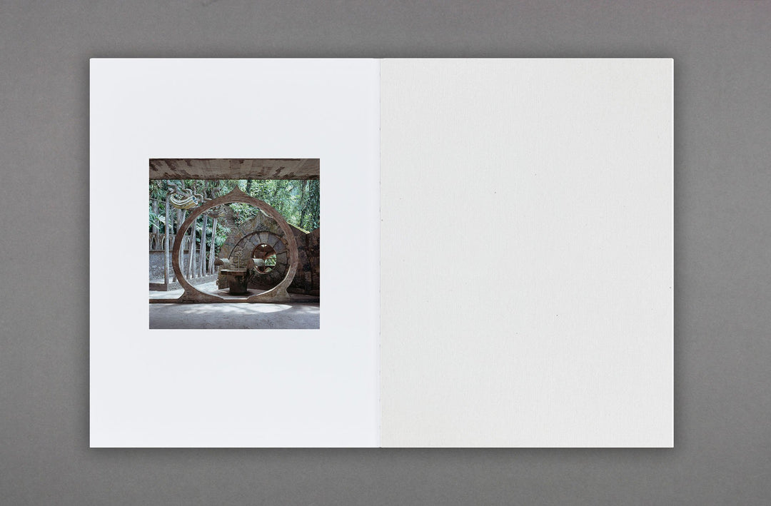 Stuart Whipps - White Ashes Fell - Loose Joints Publishing