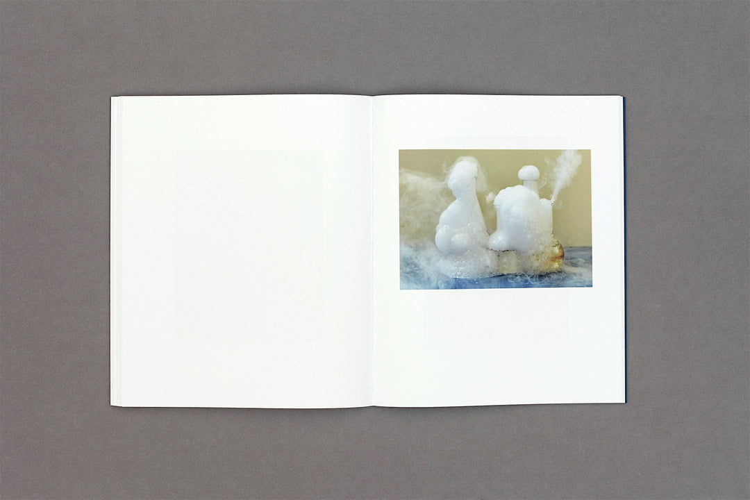 Marton Perlaki - Elemer - Loose Joints Publishing