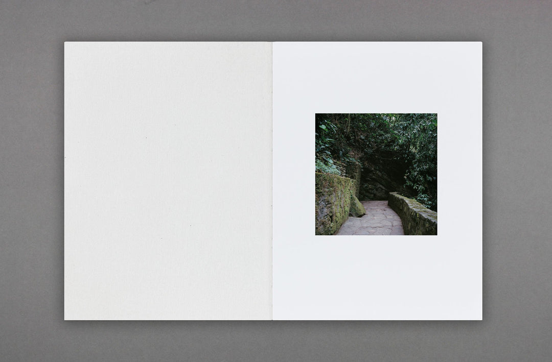 Stuart Whipps - White Ashes Fell - Loose Joints Publishing