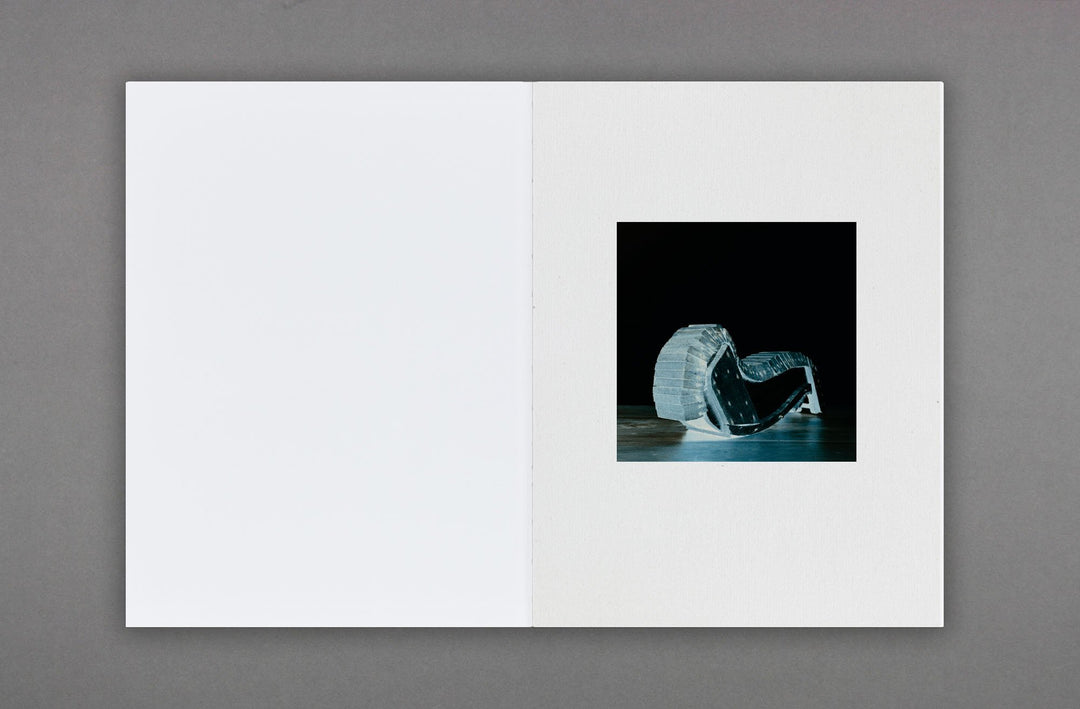 Stuart Whipps - White Ashes Fell - Loose Joints Publishing