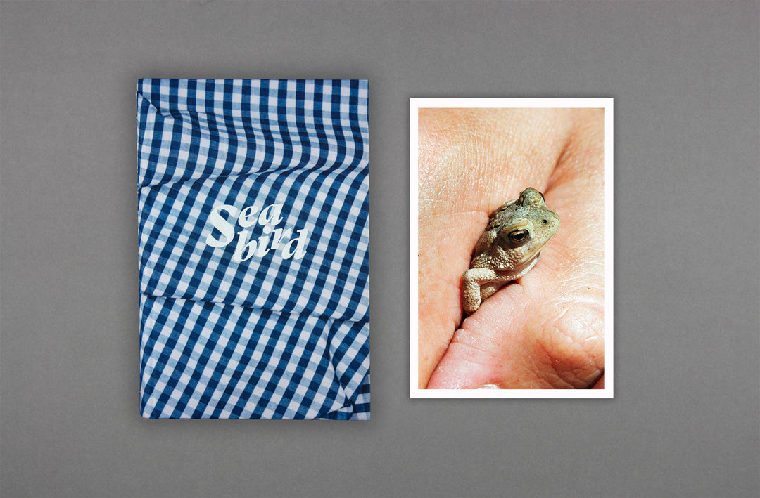 Bobby Doherty - Seabird Special Edition - Loose Joints Publishing