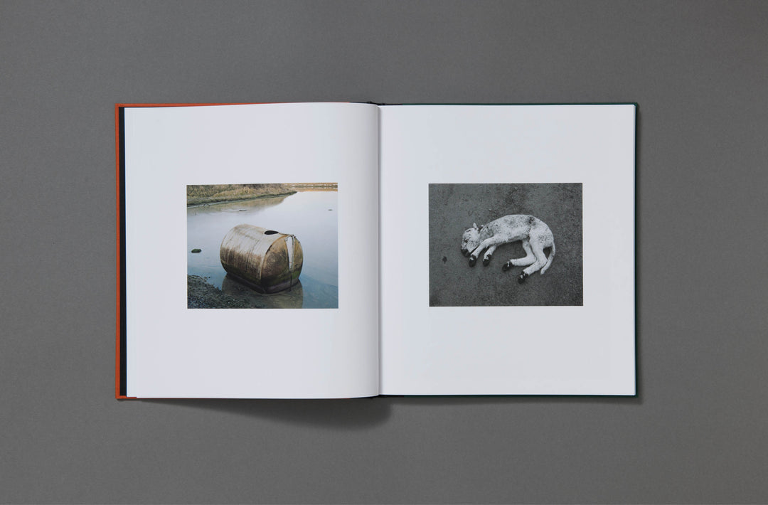 Robin Friend - Bastard Countryside - Loose Joints Publishing