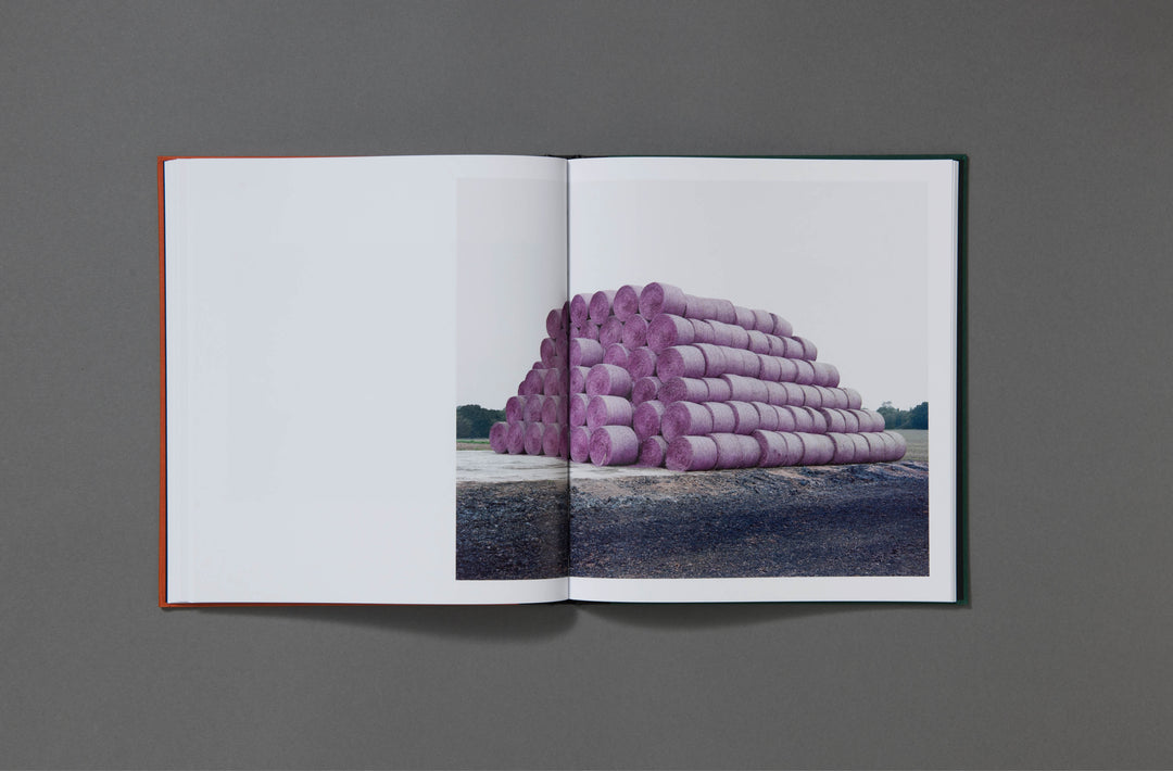 Robin Friend - Bastard Countryside - Loose Joints Publishing