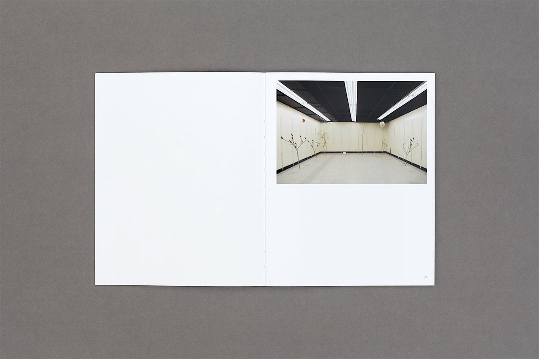 Sean Vegezzi - Snow Cab - Loose Joints Publishing