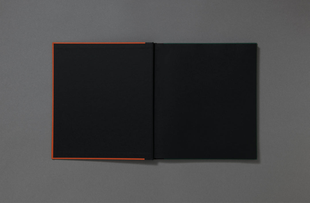 Robin Friend - Bastard Countryside - Loose Joints Publishing