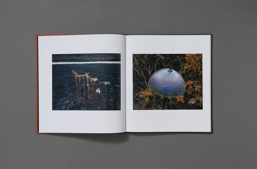 Robin Friend - Bastard Countryside - Loose Joints Publishing