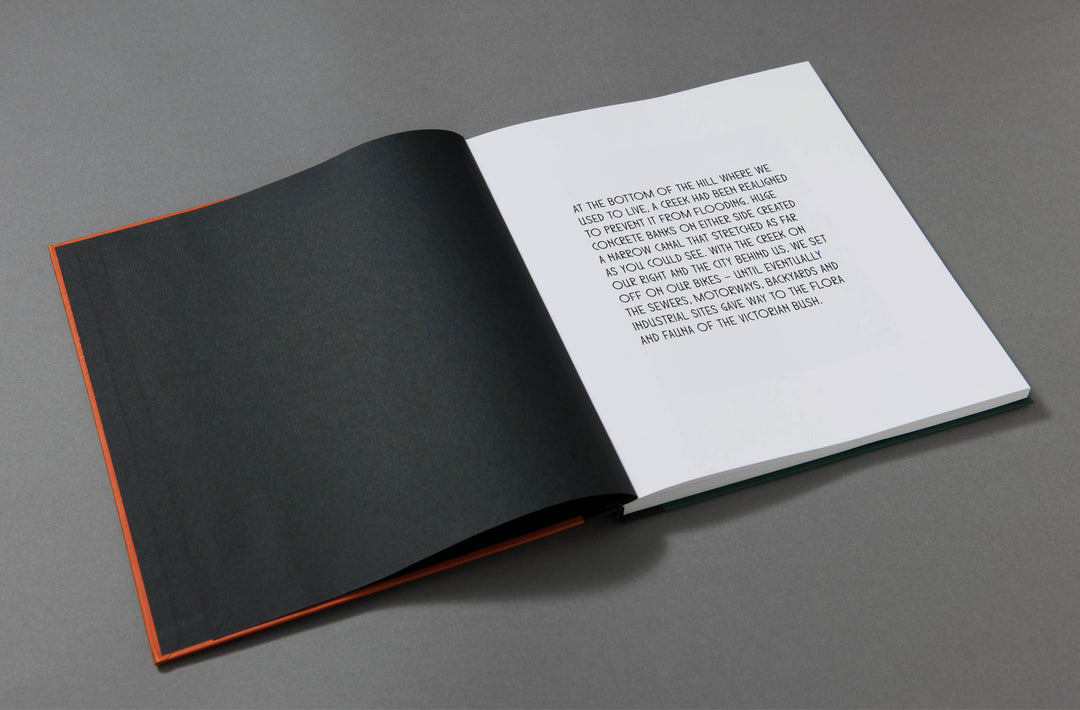 Robin Friend - Bastard Countryside - Loose Joints Publishing
