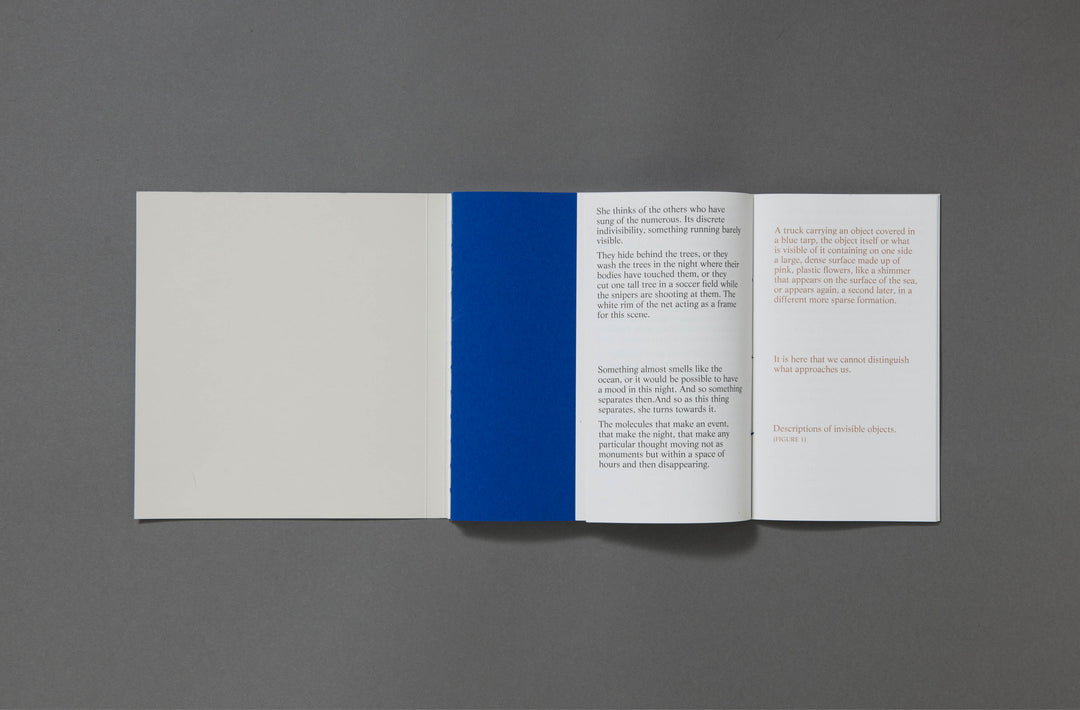 Felicia Honkasalo - Grey Cobalt - Loose Joints Publishing
