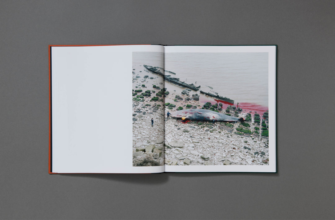 Robin Friend - Bastard Countryside - Loose Joints Publishing