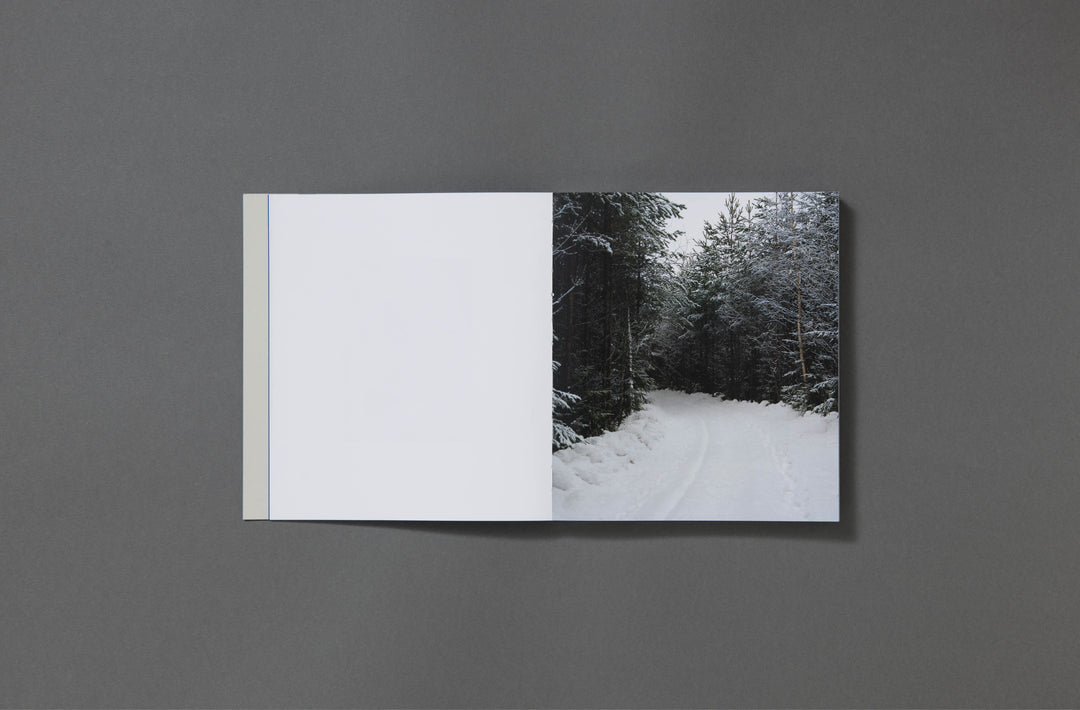 Felicia Honkasalo - Grey Cobalt - Loose Joints Publishing